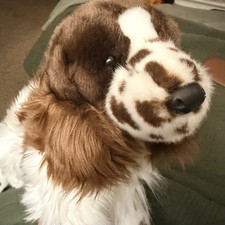 OGILVY SPRINGER SPANIEL Retired Plush Brown Dog Douglas  #2027 BP 2024 picture
