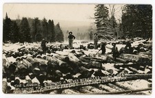 RPPC NY Adirondacks (Beach Photo) Lumbering The Landing a River Bed Full of Logs picture