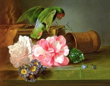 Art Oil painting Josef Schuster Still life with birds parrot nice flowes canvas picture