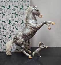 Breyer 2025 