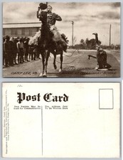 Standard World's Champion Roper Horse Camp Lee Virginia Veterinary Postcard picture