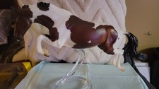 Breyerfest 2025 Hooplah Online SR MATTE picture