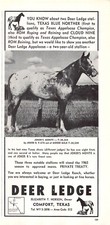 Deer Ledge Elizabeth T Hobson Owner Joker's Monte Stud Service Vtg Mag Print Ad picture