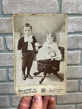 Antique 1880s Cabinet Photo Boy & Girl Holding Cute Kitten Cat Manitowoc Wis picture