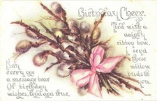 Pussy Willows Birthday Cheer Divided Back Postcard 1910s F.A. Owen Co Unused picture