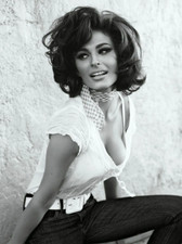SOPHIA LOREN ACTRESS High Quality Metal Fridge Magnet 3x4 8106 picture