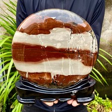 8.15LB Beautiful Natural Chinese Dendritic Limestone Picture Stone Guohua-Rare picture