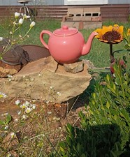 POTTERY BARN TEAPOT PINK ROSE COLOR IN EXCELLENT CONDITION 48OZ picture