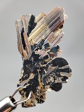 Rare Red Rutile Crystals on Hematite (Sagenite Var. Rutile) - Zagi mountains Pak picture