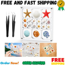Acrylic Magnetic Seashell Display Box,Clear Sea Shell Display Box,Beach Magnet S picture