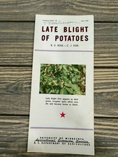 Vintage Late Blight Of Potatoes Brochure - University Of Minnesota June 1943 picture