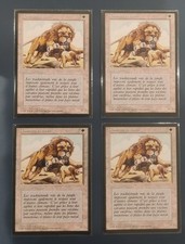 MTG Magic - 4x Savannah Lions (1994 Fbb - French Limited) picture