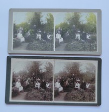 2 Antique Hand Colored Stereo Photos Russian Empire Court Councillor c1905 picture