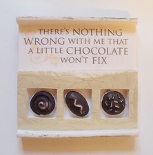Nothing Wrong That Chocolate Won't Fix Refrigerator Magnet Novelty picture