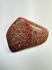 Agatized Dinosaur Bone 96ct. Fossil Polished Specimen picture