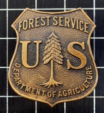 vintage US FOREST SERVICE Department of Agriculture Pin BADGE • obsolete USFS picture