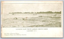 K43/ Lakeport New York Postcard c1910 Larkin Grove Farm Dock 85 picture