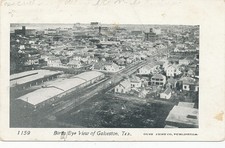 Galveston TX * Birds Eye View   ca. 1905  Gust Feist Co. Pub. picture