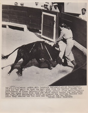 1952 Press Photo Bullfighter Patricia McCormick at Plaza De Toros in Mexico picture