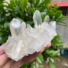 310G  Natural clear white quartz crystal cluster mineral specimen healing picture