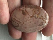 Morrisonite Jasper Cabochon- Orange, Brown 41 X 31 mm picture