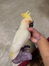 Large Cockatoo Parrot Figural Wax Candle Tropical Bird Perched on Branch picture