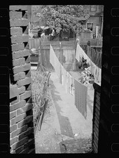 Photo:1930s Slum Housing Clotheslines Laundry Brick Walls Fences Alleyway picture