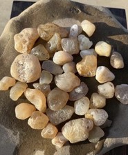 Yellowstone River Golden Beauties Montana Agate Pack Lot Hand Picked 2 lbs picture