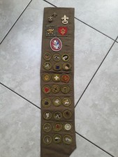 41  1950's Type E F Merit Badge Botany Railroad Zoology Forestry BSA Sash 3 PINS picture
