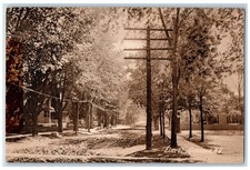 c1910's Elm Street Trees Scene Geneseo New York NY Unposted Vintage Postcard picture