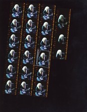 LG76 2003 Original Oversize Contact Sheet Photo SHAKIRA 