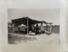 Vintage Photo Shady Fruit Stand Watermelons Produce 1940s Americana Snapshot picture