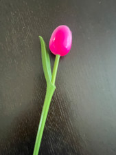 Holland America Cruise Tulip Nieuw Statendam  Pink picture