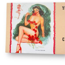 Vintage 1950s Pin-Up Blotter Art  T.N. Thompson “In Full Bloom” Cohen Cheesecake picture