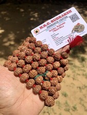 LAB CERTIFIED 7 Mukhi RUDRAKSHA Rudraksh Mala ROSARY 108+1 Bead Prayer Beads picture