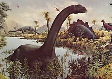 1977 Peabody #5  Museum Reptiles Mural 3 Dinosaurs 4x6 postcard L157 picture