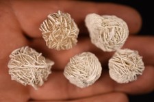 5 *DESERT ROSE* Specimens 2cm 34.9g Sand Gypsum Crystal Clusters Natural picture