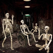 2PCS 36 Halloween Full Body Posable Skeletons Outdoor Decoration 3FT Realistic picture