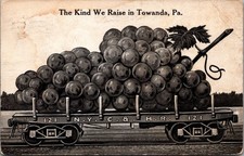 Towanda PA Giant Grapes Train Car N.Y.C. & H.R. Art Mfg Co. Postcard 1910s picture