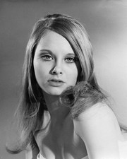 LINDA HAYDEN PRINTS AND POSTERS 104175 picture