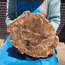 4.33LB Natural Petrified Wood Crystal Fossil Slice Shape Specimen Healing picture