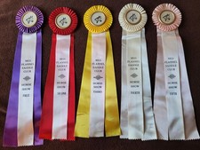 1st~5th LONG Red Flannel Saddle Club Horse Show Ribbons Awards Equestrian Events picture