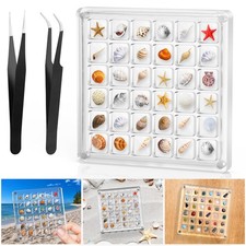 36 Grid Clear Acrylic Magnetic Seashell Display Box Beach Storage Case picture