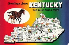 Kentucky Horses Map Bluegrass State Vintage Continental Postcard Posted 1996 picture
