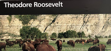 Vintage 2004 THEODORE ROOSEVELT - ND  NATIONAL PARK SERVICE UNIGRID BROCHURE/MAP picture