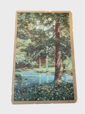 Antique 1910 Mailed Postcard With Forest Scene & Handwritten Note picture