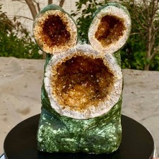 8.13LB Natural citrine cave citrine cluster dinosaur specimen Reiki picture