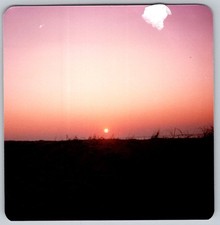 Vtg Color Snapshot Sunset Over Sand Dunes Beach Grass Pink Sky Silhouette 1970s picture