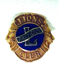 Vintage Lions Club Past SECRETARY 10k Gold PIN BLUE 2.16G picture