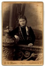 Cabinet Card Circa 1880s A. G. Wheeler Girl Plaid Vest Ornate Railing Goshen Ny picture